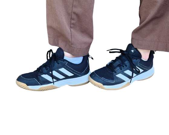 Baskets ADIDAS Ligra 7 indoor