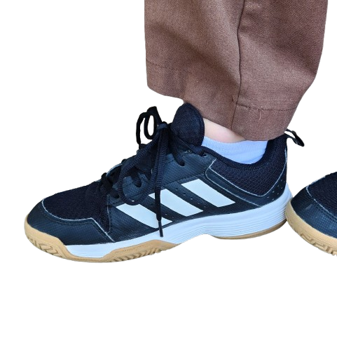 Baskets ADIDAS Ligra 7 indoor